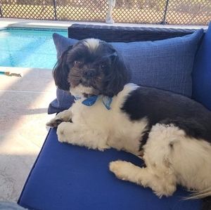 Meet your Posher, Rick